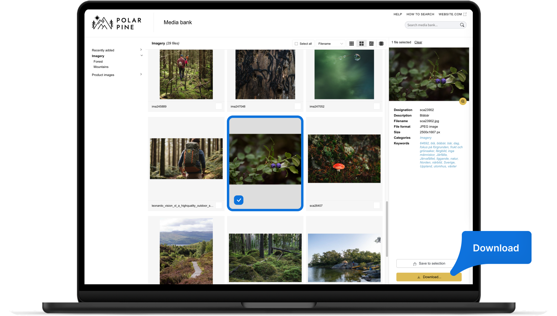 Mediaportaler i Mediaflow - skapa en egen bildbank | Mediaflow