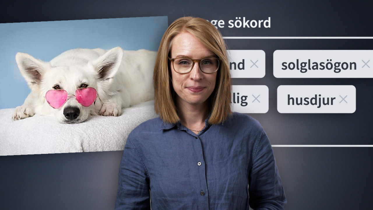 Så organiserar du bilder med en effektiv mappstruktur